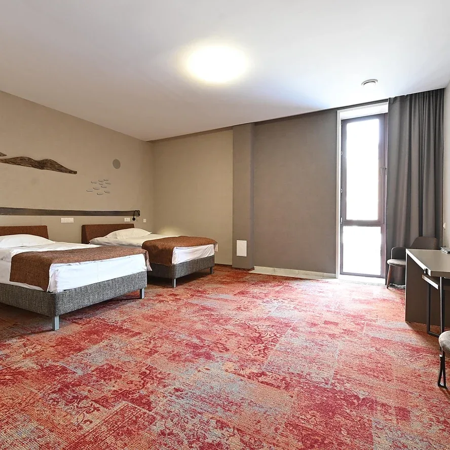 Twin Disabled room