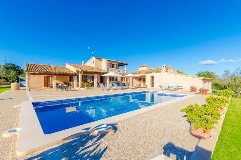 A sunny outdoor pool beside a large house and patio.