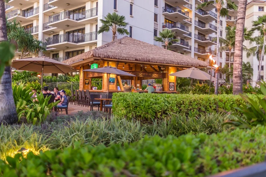 Una terraza de restaurante al aire libre con mesas a la sombra, vegetación y edificios detrás.