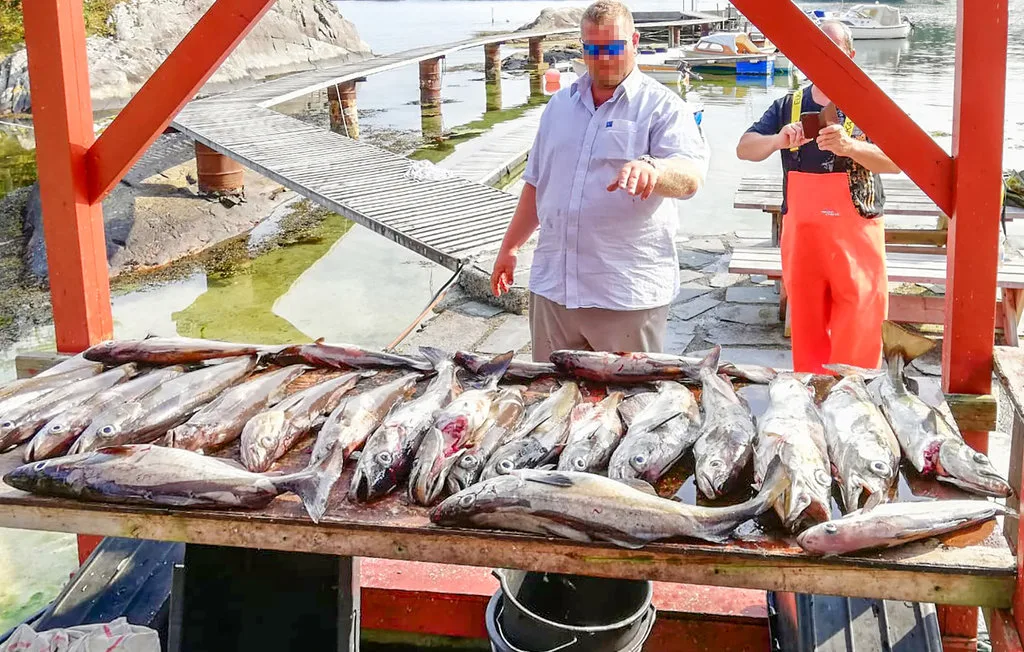 People stand behind a table covered with fish at a waterfront dock.