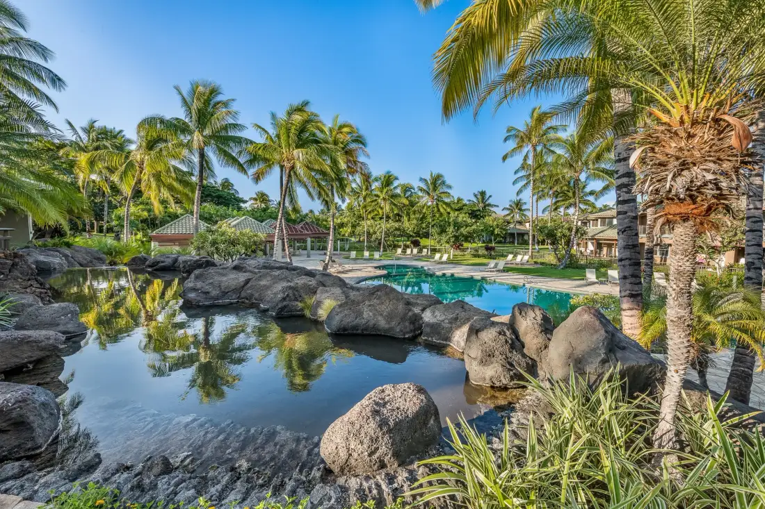 Una piscina tropical al aire libre está junto a un estanque bordeado de rocas y rodeada de palmeras.
