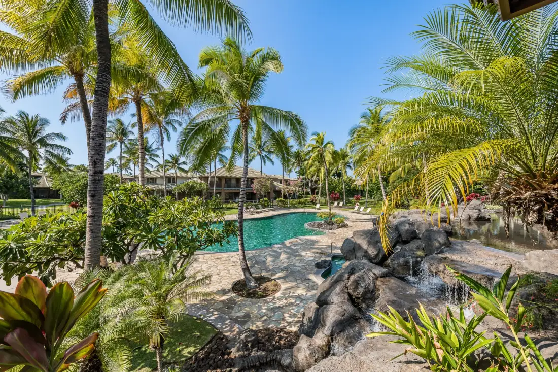 Una piscina tropical está rodeada de palmeras y vegetación.