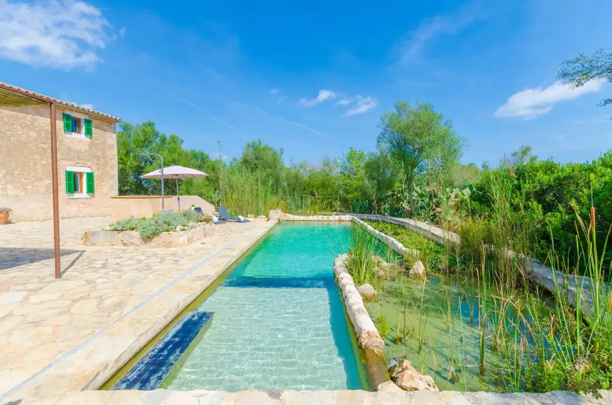 Outdoor swimming pool beside a stone-paved patio and a reed-lined pond.