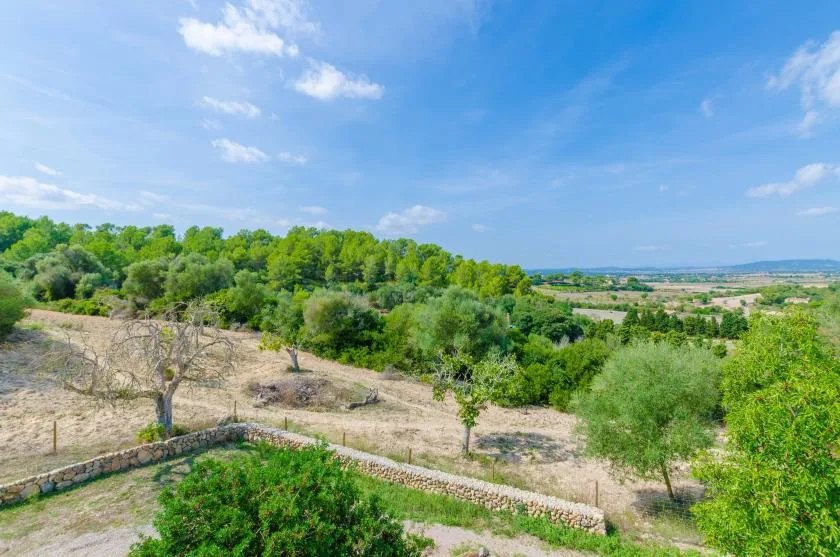 A rural landscape with green trees, dry fields, and a partly cloudy sky.