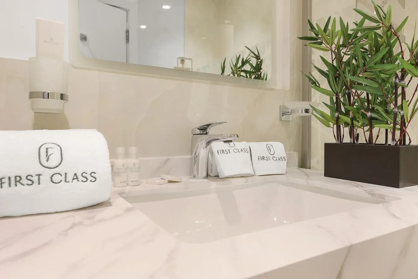 A bathroom vanity with a wide sink, toiletries, and a potted plant.
