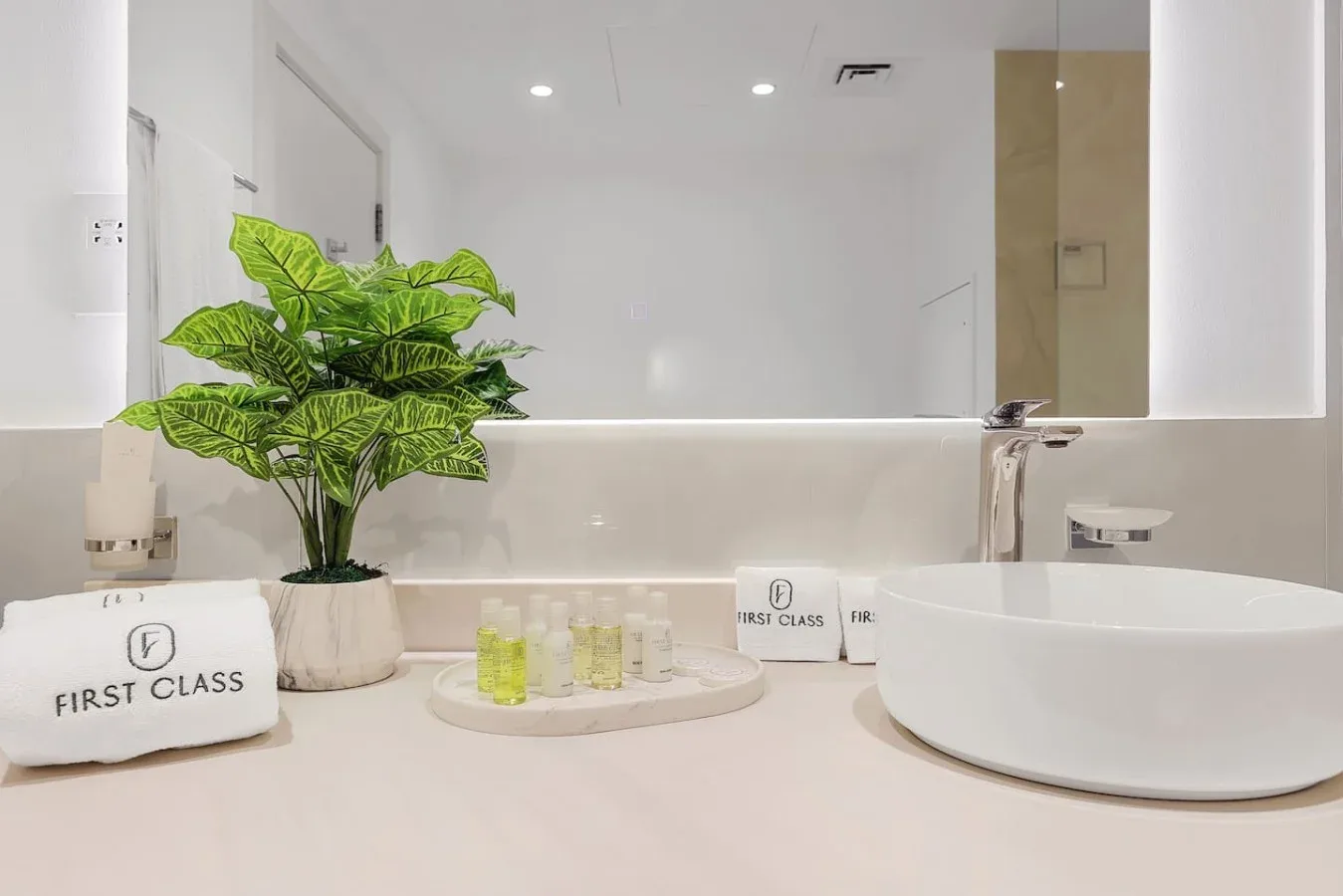 A bathroom vanity with a round vessel sink, toiletries, and a leafy potted plant.