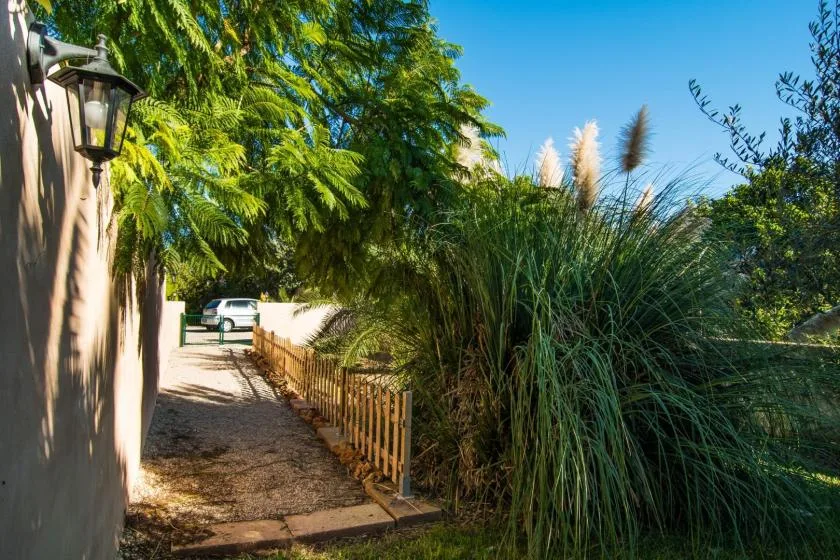 Un sendero de jardín pasa junto a hierbas altas y una cerca de madera.