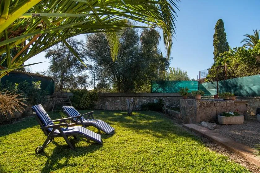 Un césped soleado con tumbonas reclinables bajo hojas de palmera.