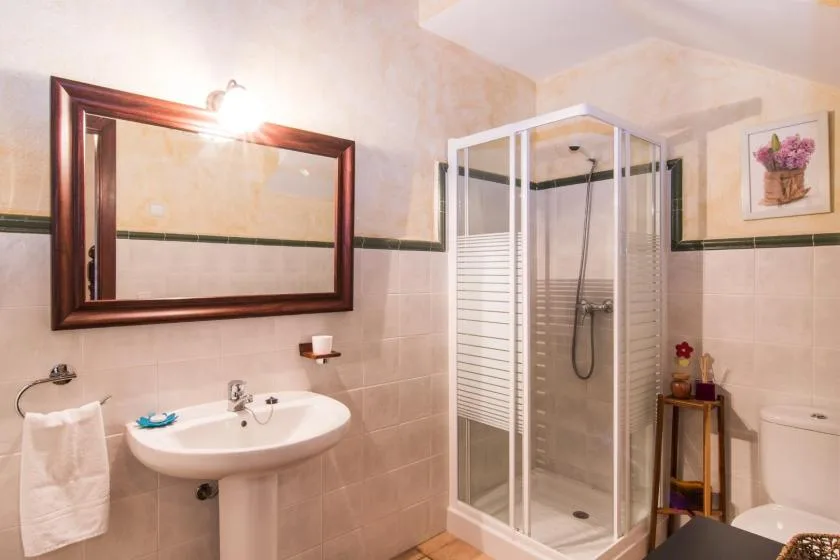 Un baño con lavabo de pedestal, espejo de pared y ducha de vidrio.