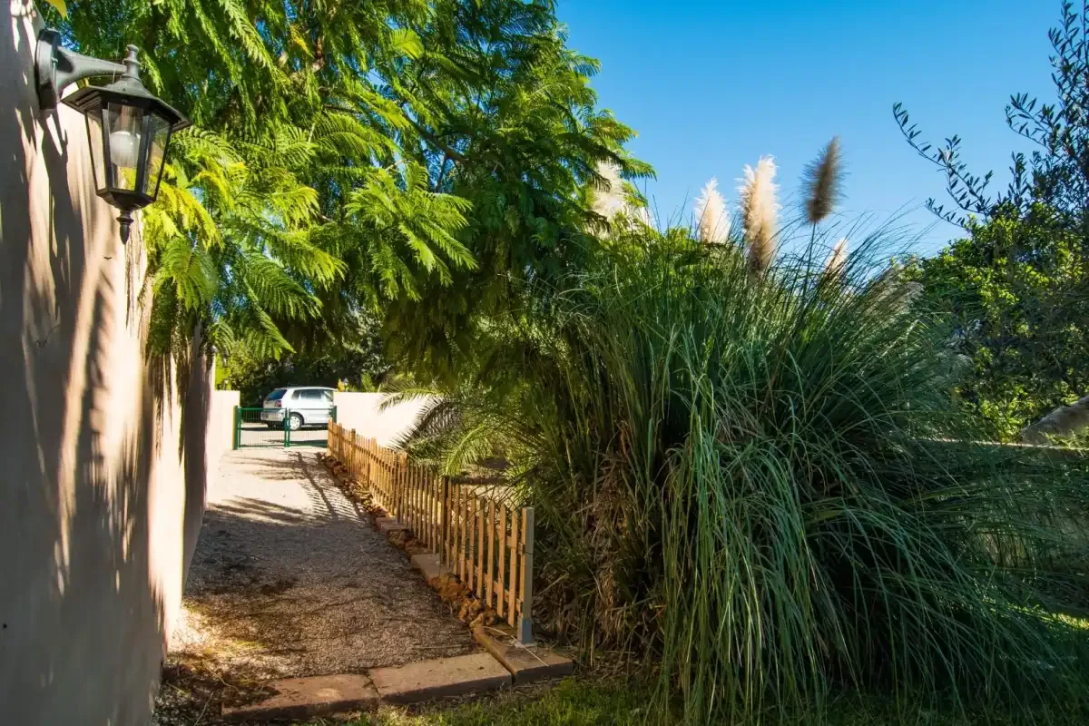 Un sendero de jardín pasa junto a una cerca de madera y vegetación alta.