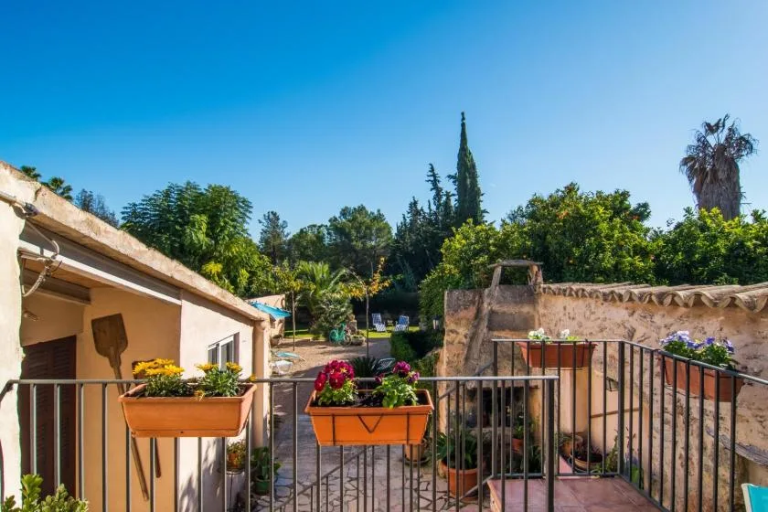 Una terraza soleada da a un jardín con árboles y jardineras con flores.