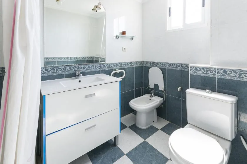 A bathroom with a vanity, toilet, and patterned tile.