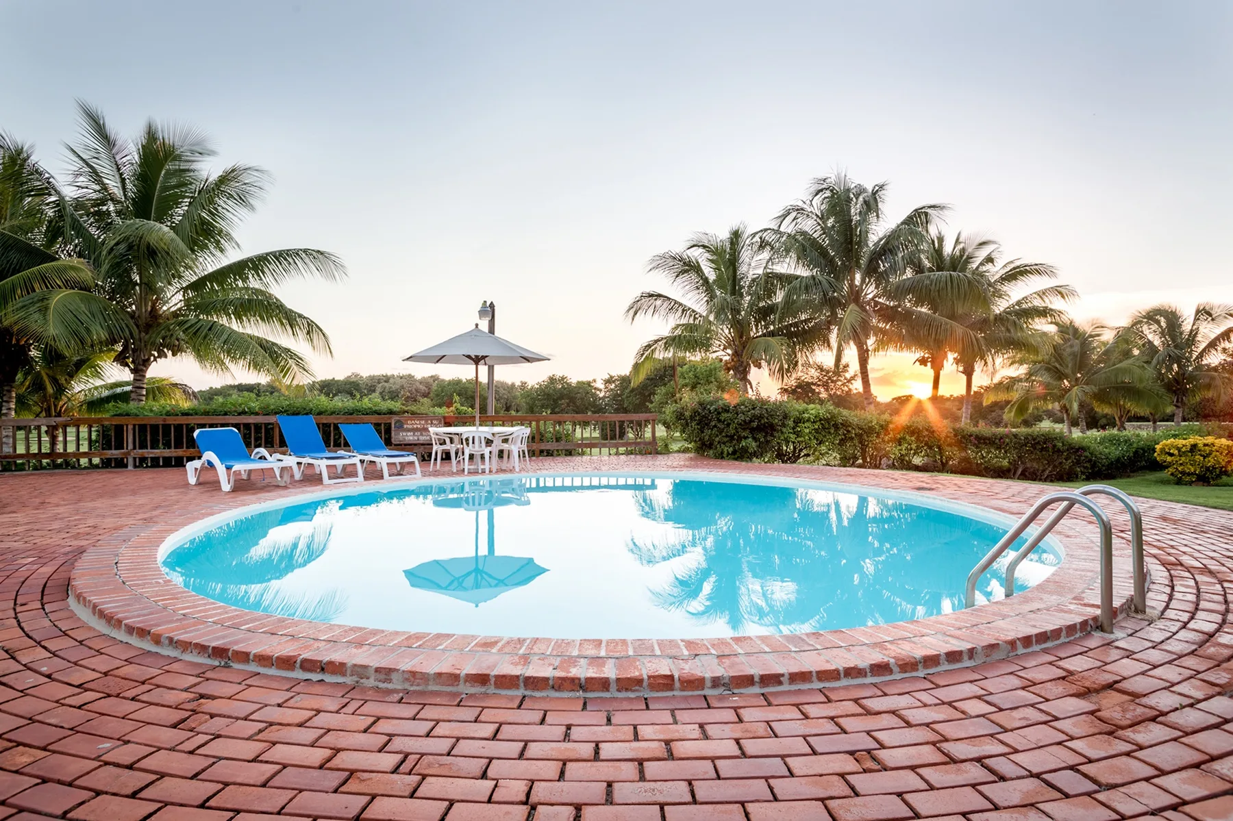 An outdoor swimming pool is surrounded by palm trees and brick paving.
