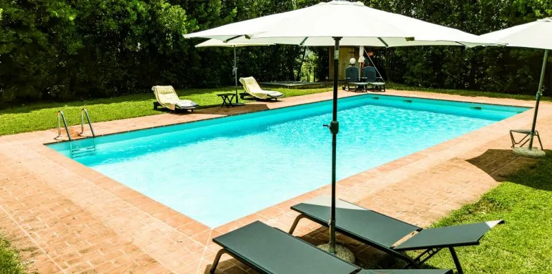 An outdoor swimming pool is surrounded by a brick patio and greenery.