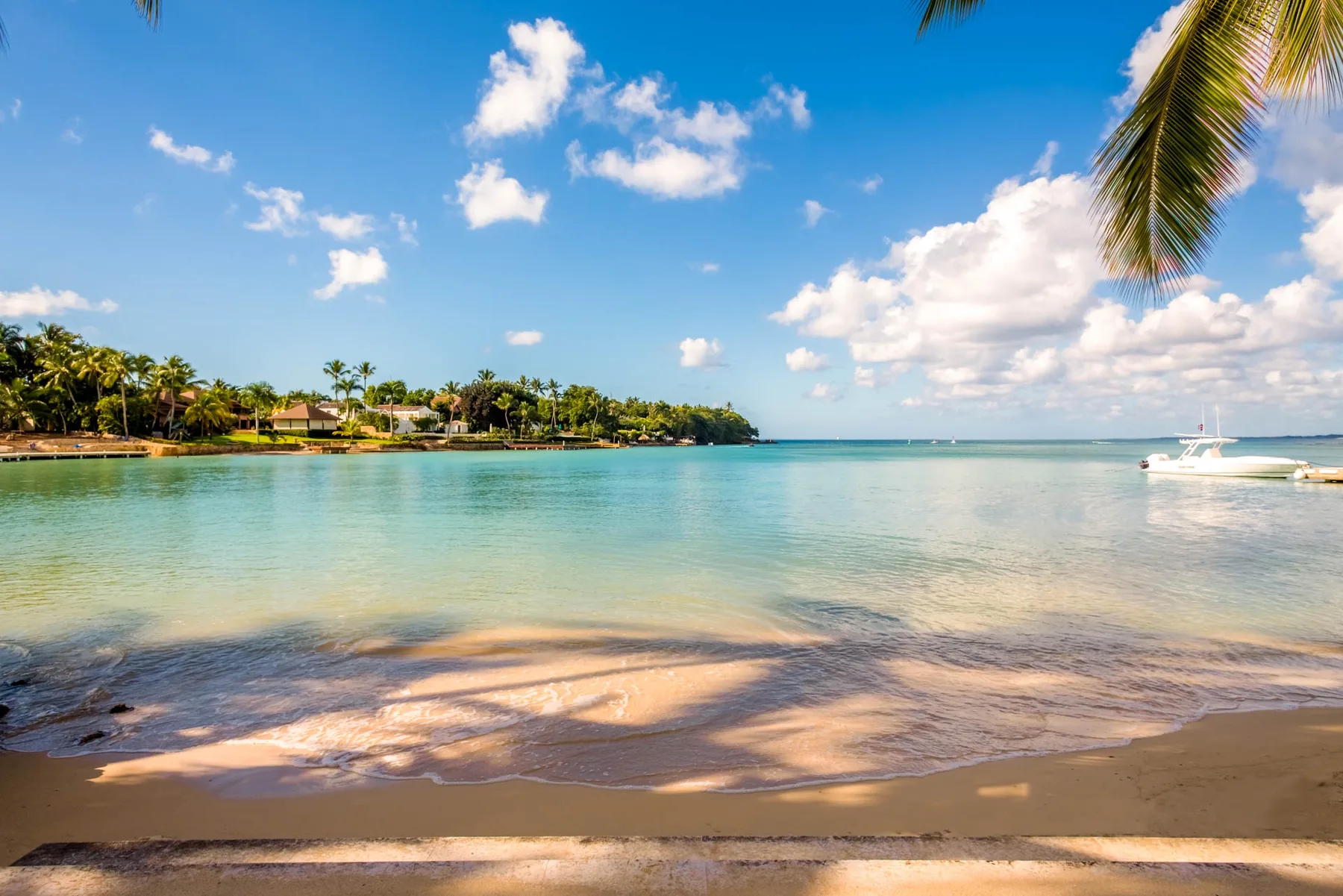A sandy beach meets calm turquoise water, with palm trees along the shore.