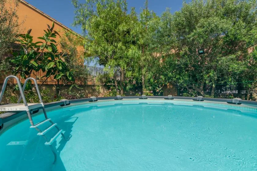 An outdoor swimming pool is surrounded by leafy trees and greenery.