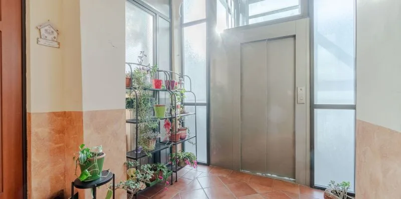 Una entrada luminosa con un ascensor y plantas en macetas junto a las ventanas.