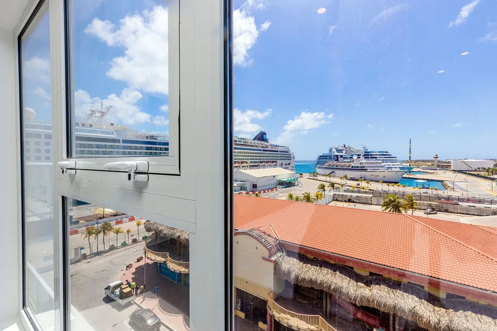 This vibrant port view showcases cruise ships docked along the waterfront, framed by palm trees and terra-cotta rooftops below.