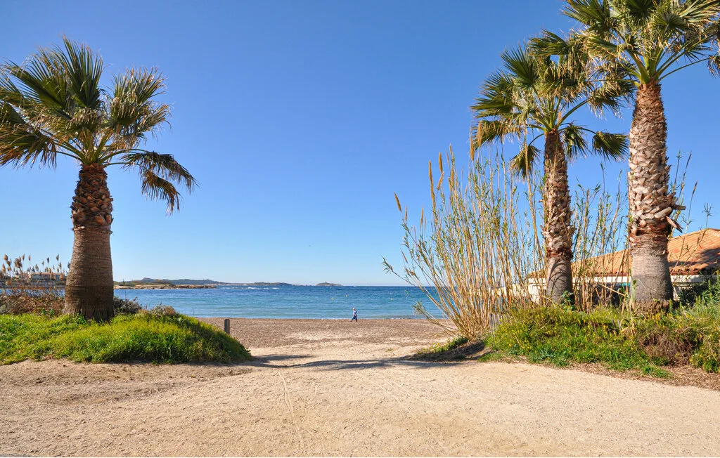 A sandy beach path opens onto blue water, framed by palm trees and grasses.