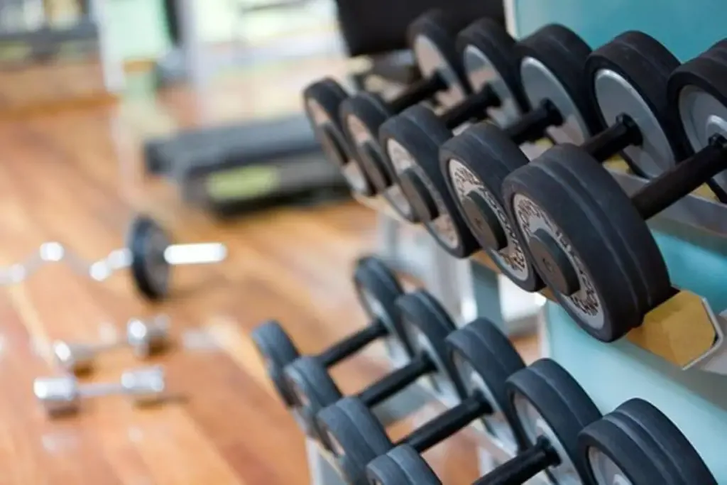 Equipamiento de gimnasio