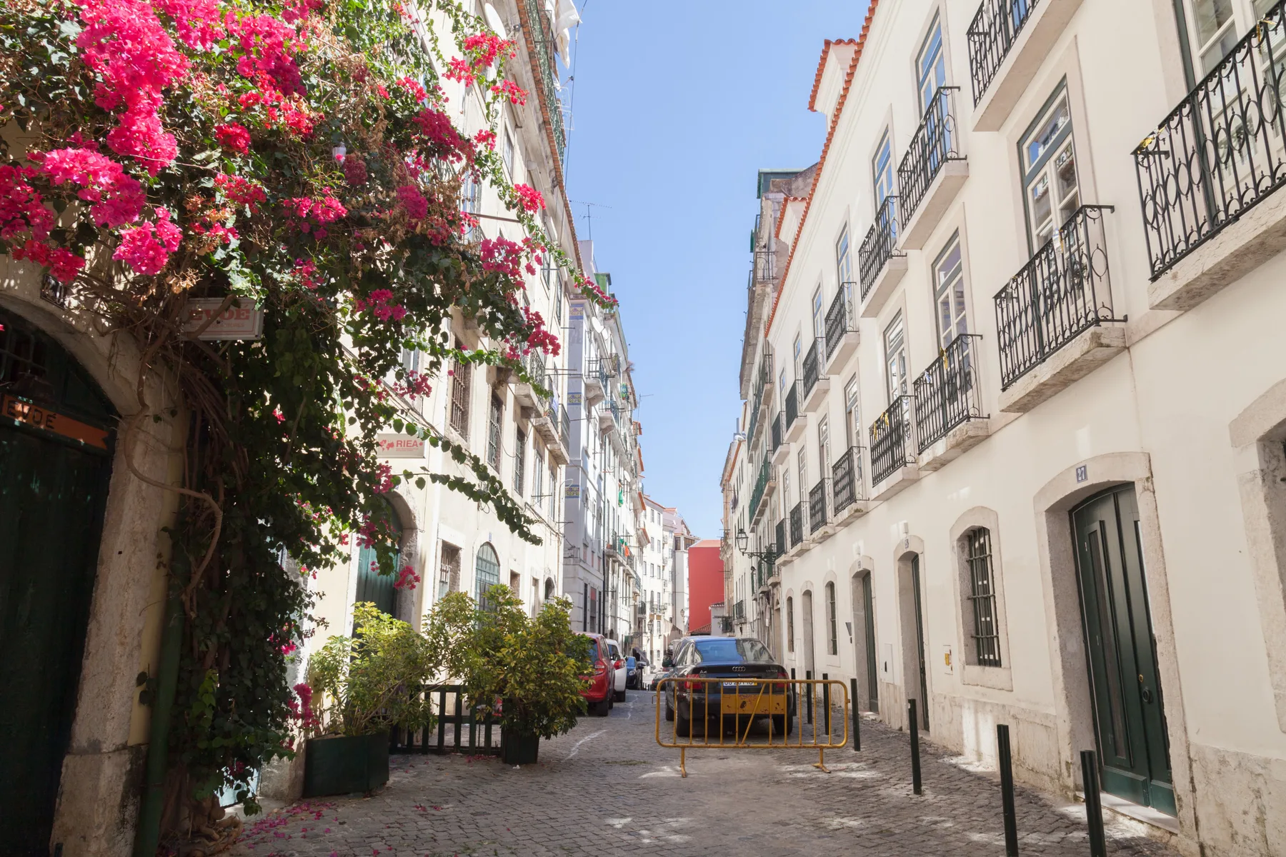 A narrow cobbled street lined with buildings and flowering vines.