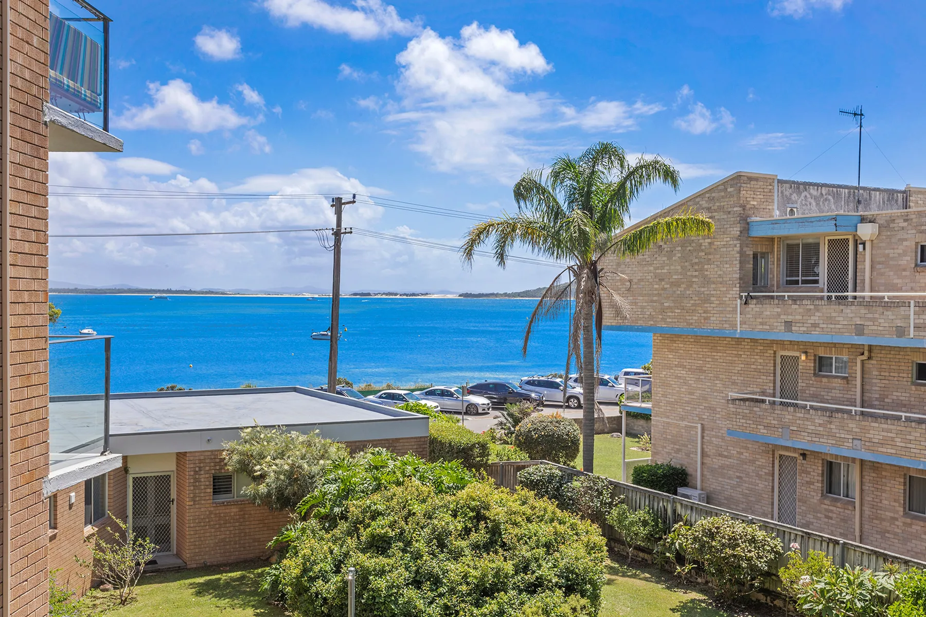 A coastal view of the blue sea, nearby buildings, and a palm tree.