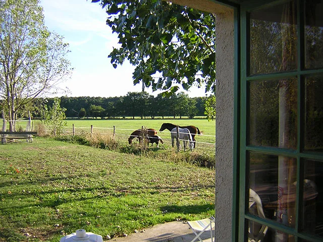Ventana de la propiedad