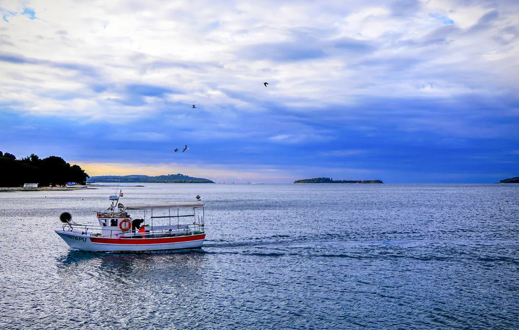 A small boat floats on calm water beneath a cloudy sky.