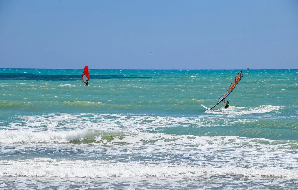 Ocean waves roll toward shore as windsurfers sail across the water.