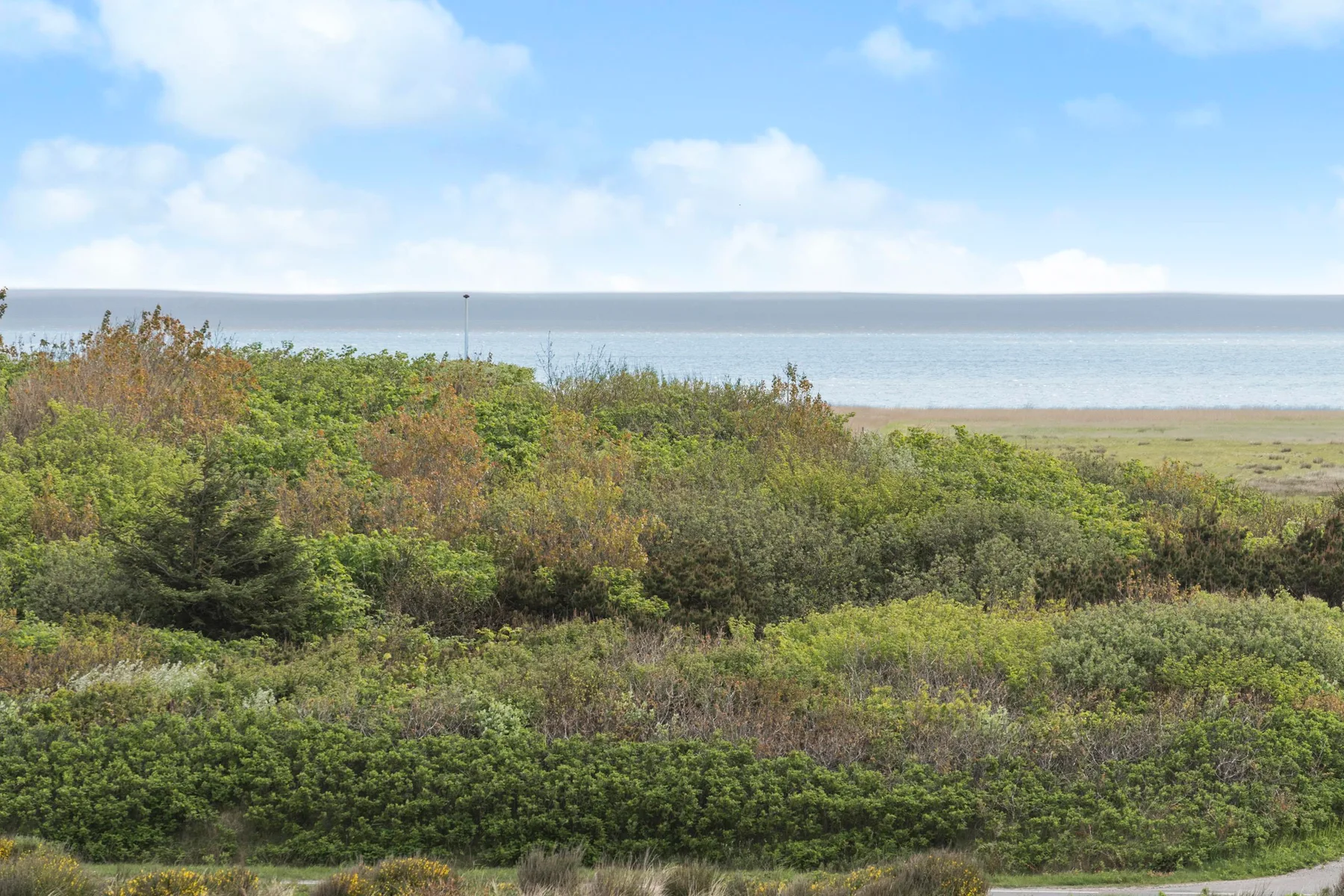 Paisaje costero con arbustos bajos, dunas y el mar a lo lejos.