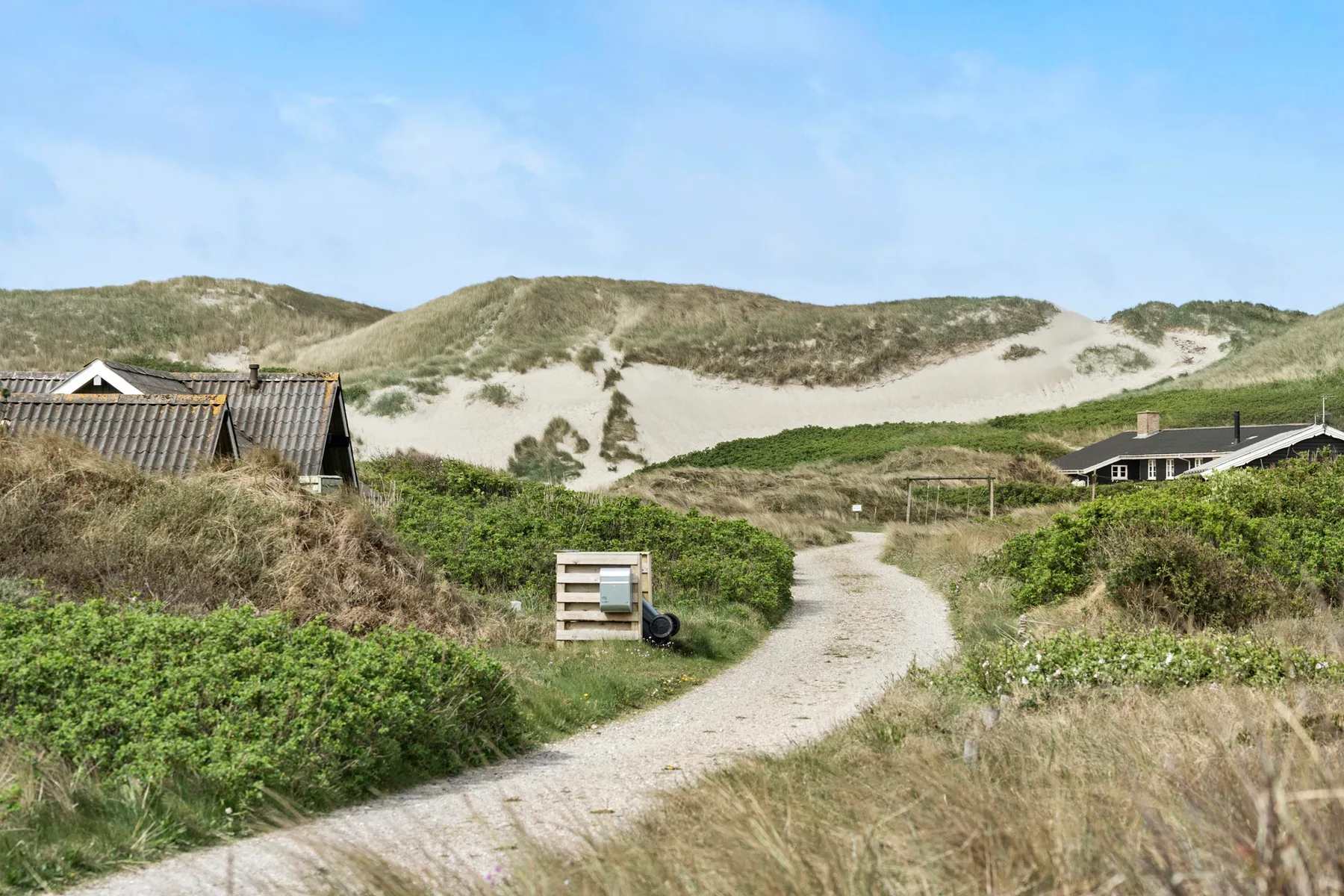 Un sendero arenoso serpentea entre dunas costeras, casas bajas y vegetación verde.
