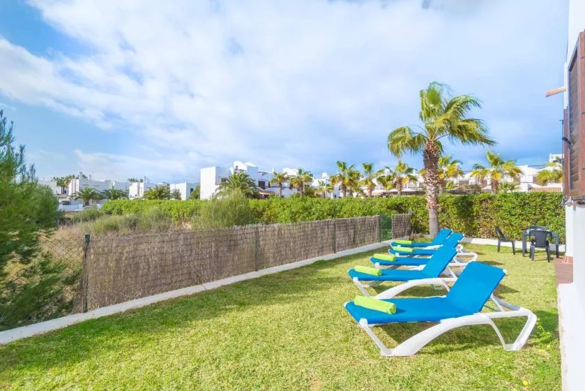 Una zona exterior con césped tiene varias tumbonas junto a una palmera.