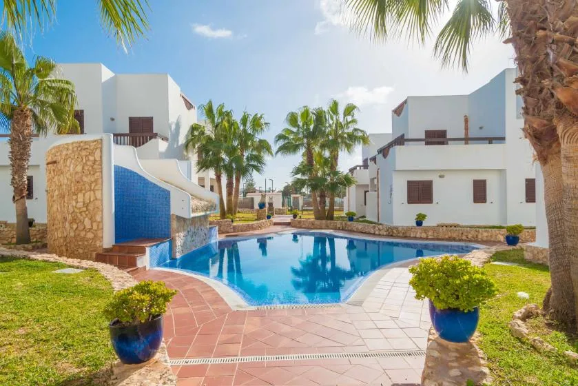 Outdoor swimming pool surrounded by white buildings, palm trees, and paved paths.