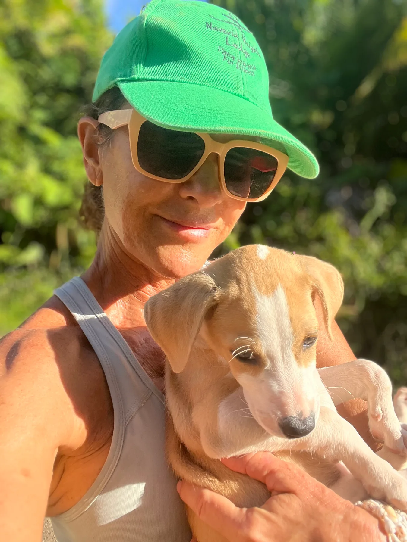Zeus on a jungle trail