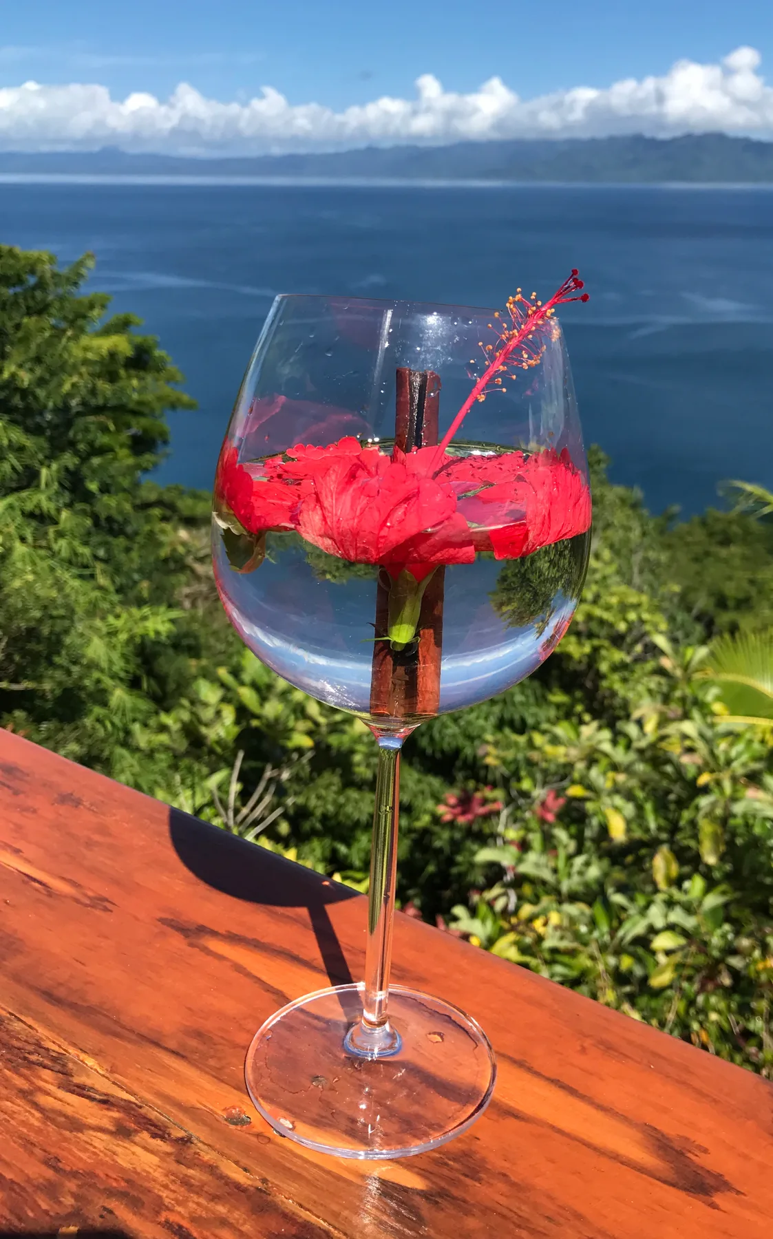 Hibiscus drink