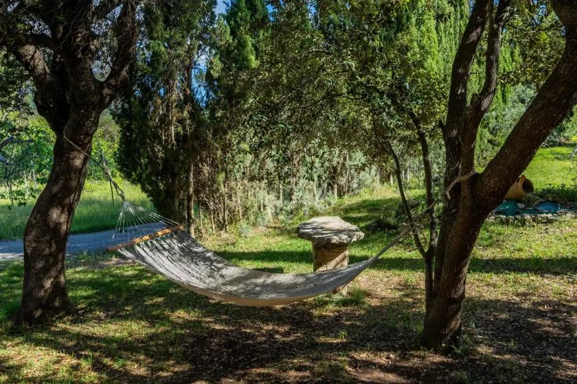 A hammock hangs between trees in a shaded garden.