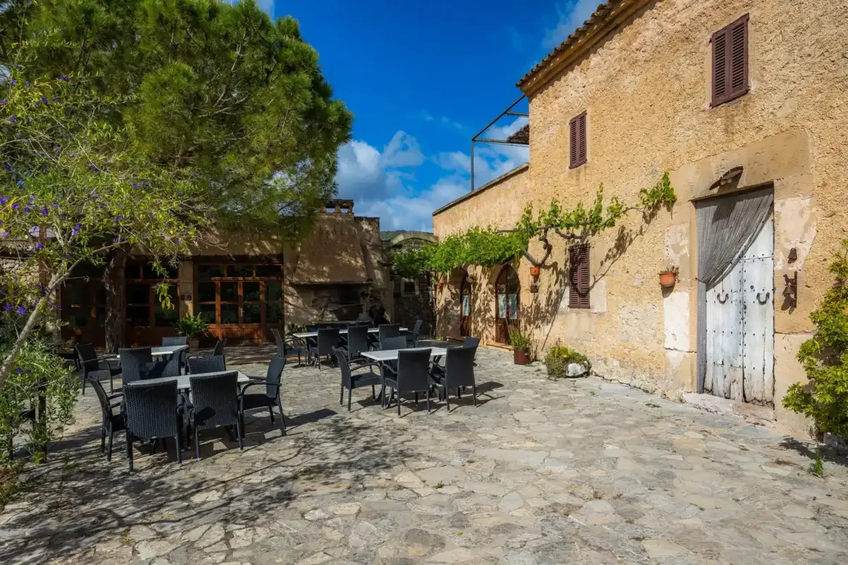 A stone courtyard patio has outdoor seating beneath a leafy tree.