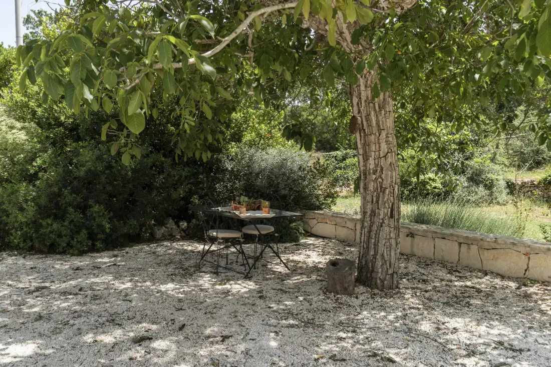 Una zona de estar al aire libre está bajo un árbol frondoso junto a un muro bajo de piedra.