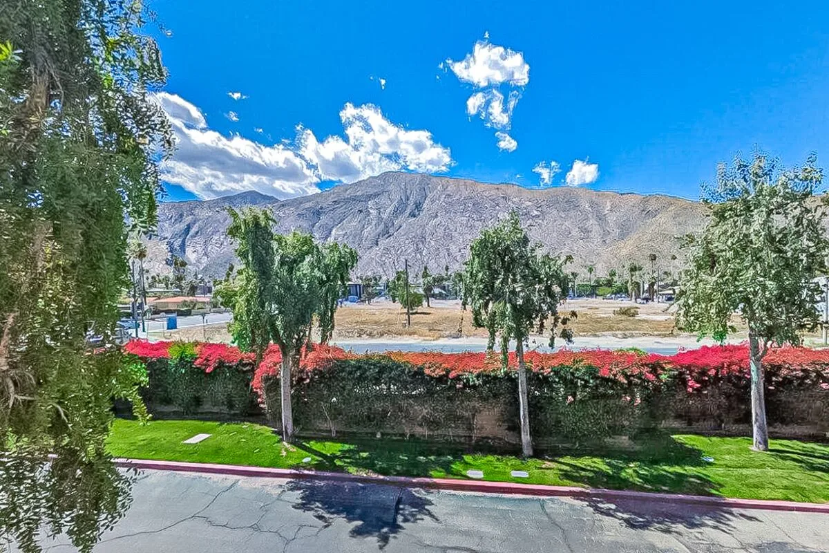 Mountains & Palms #60164
