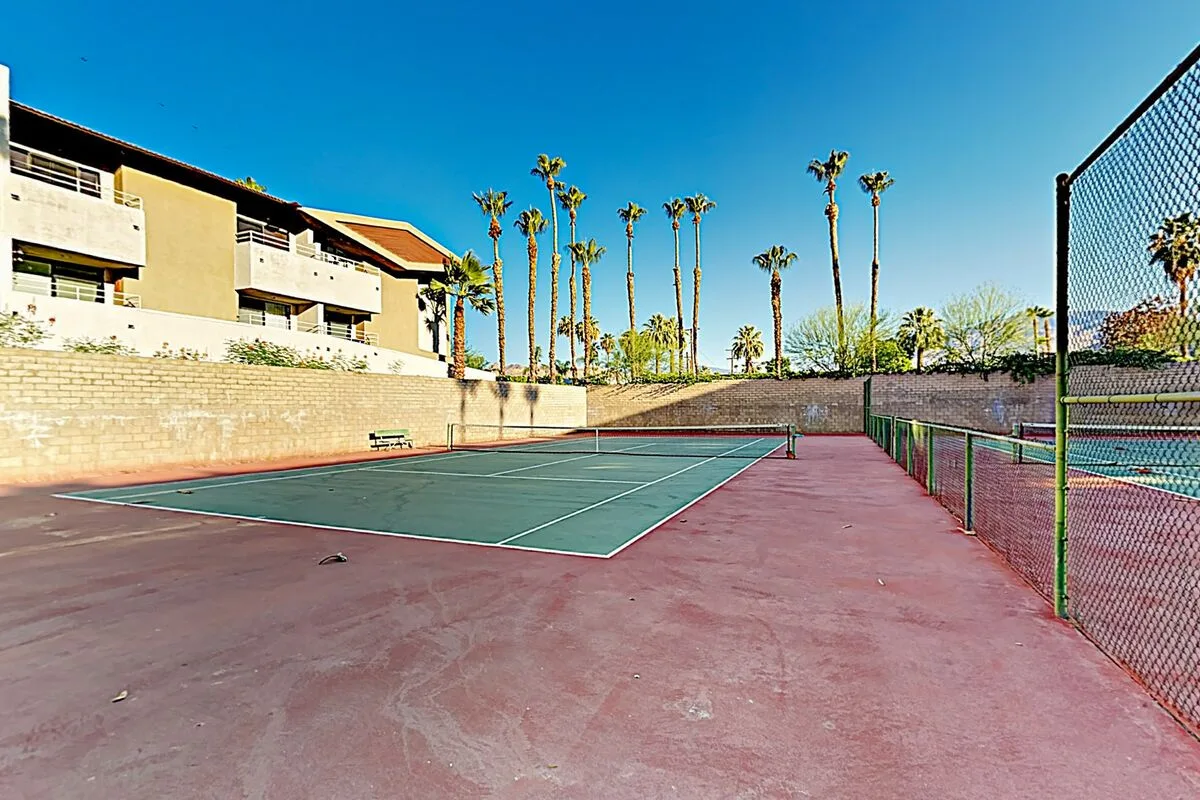 Mountains & Palms #60164