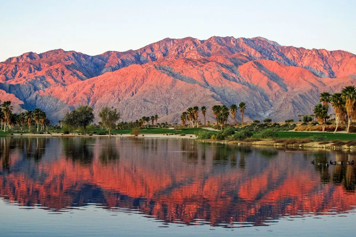 Mountains & Palms #60164