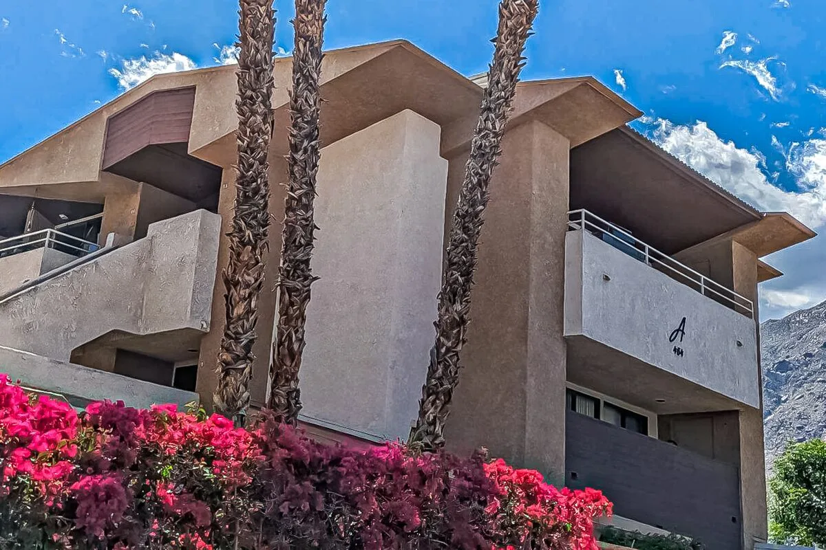 Mountains & Palms #60164