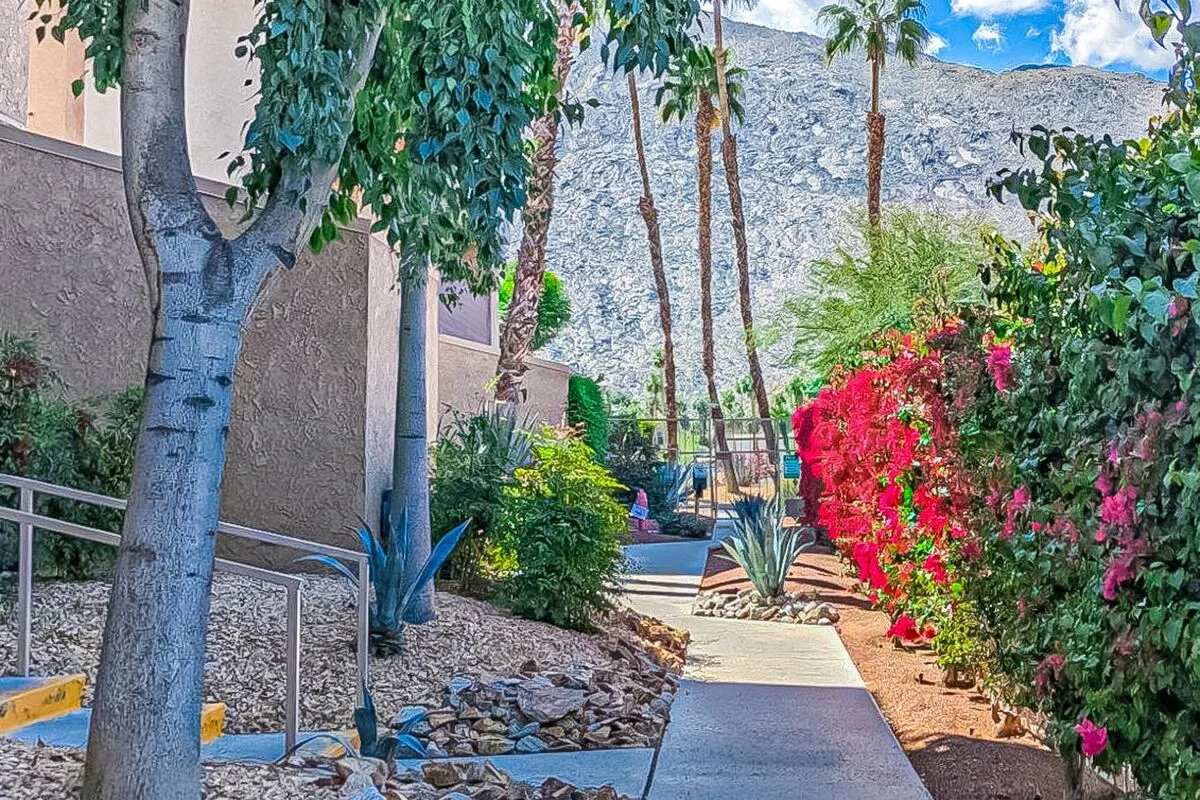 Mountains & Palms #60164
