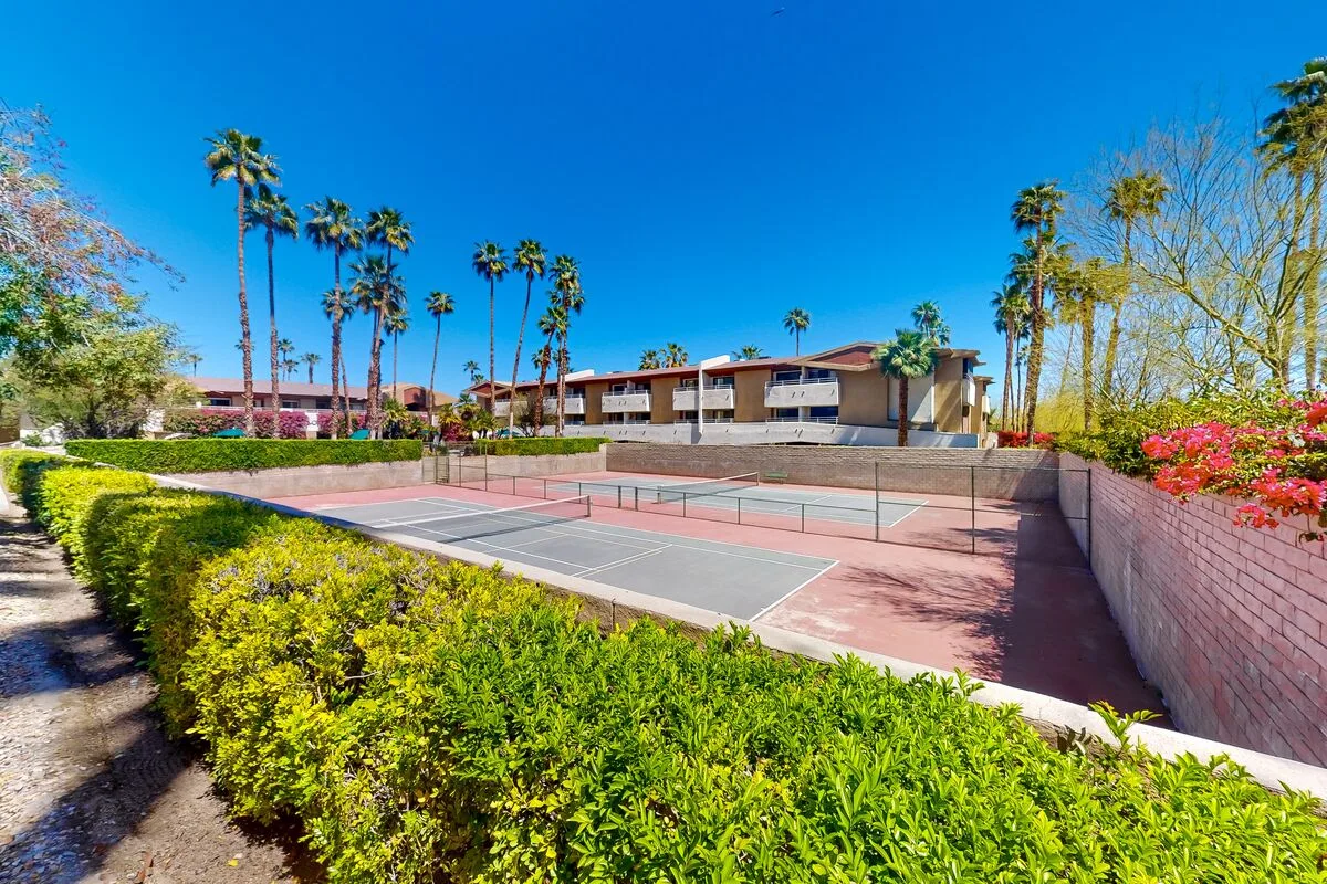 Mountains & Palms #60164