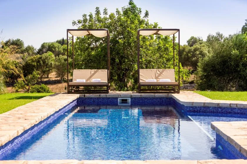 A swimming pool with two shaded loungers beside a green garden.