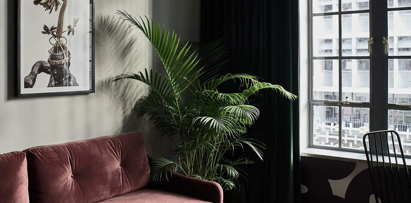 Interior del hotel
