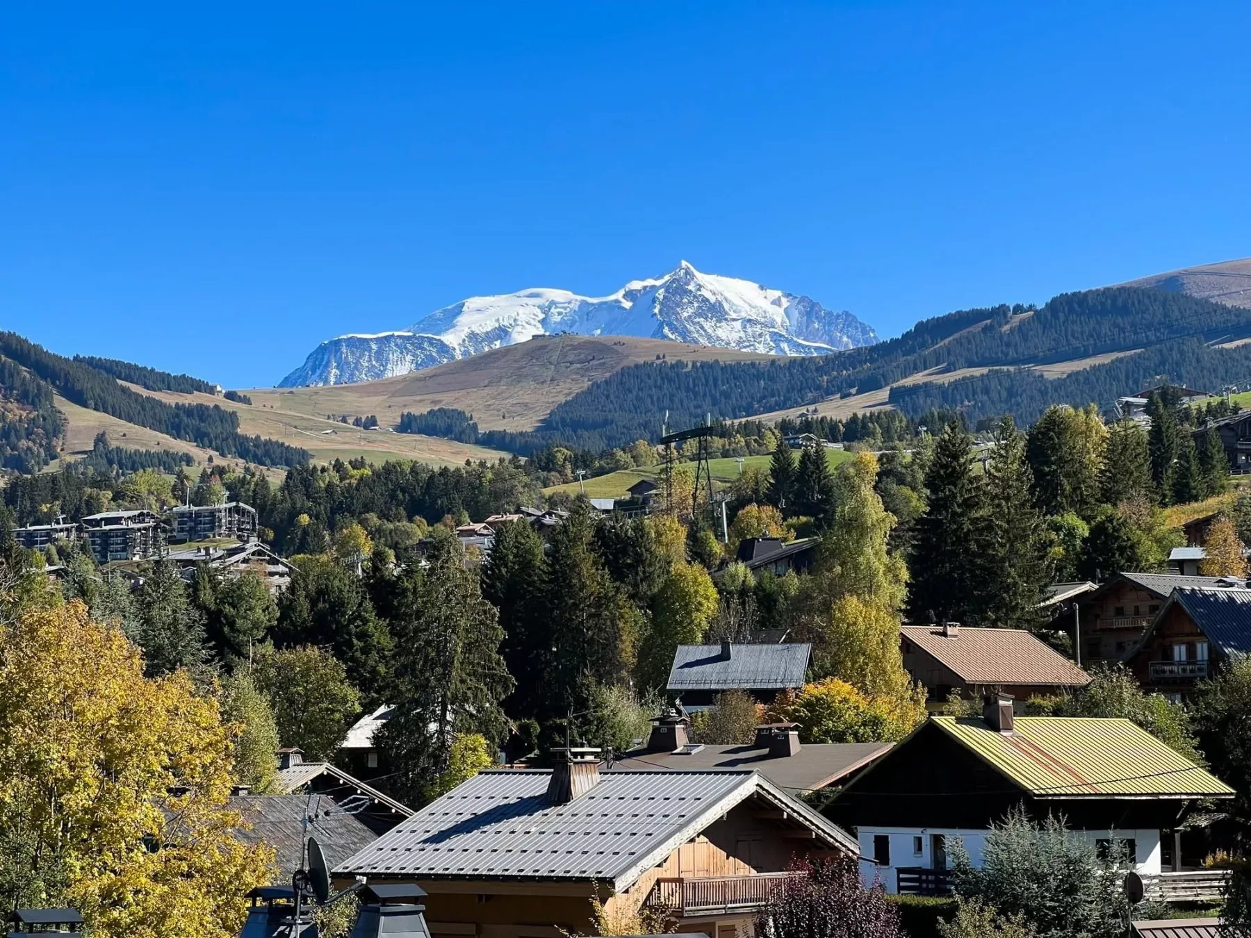 Mountain village rooftops sit among trees beneath a snow-capped peak.