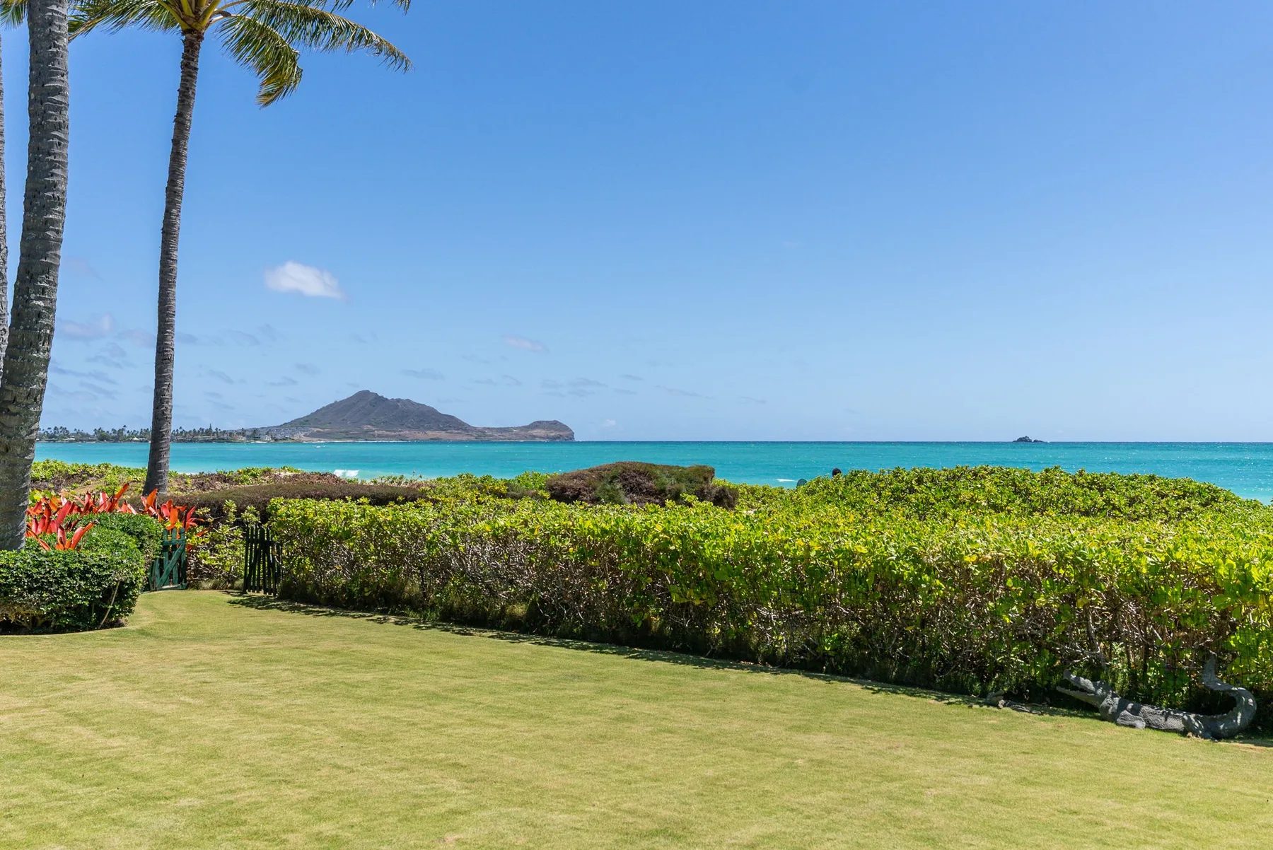 Paisaje tropical junto al mar, con césped, palmeras y vistas al océano.