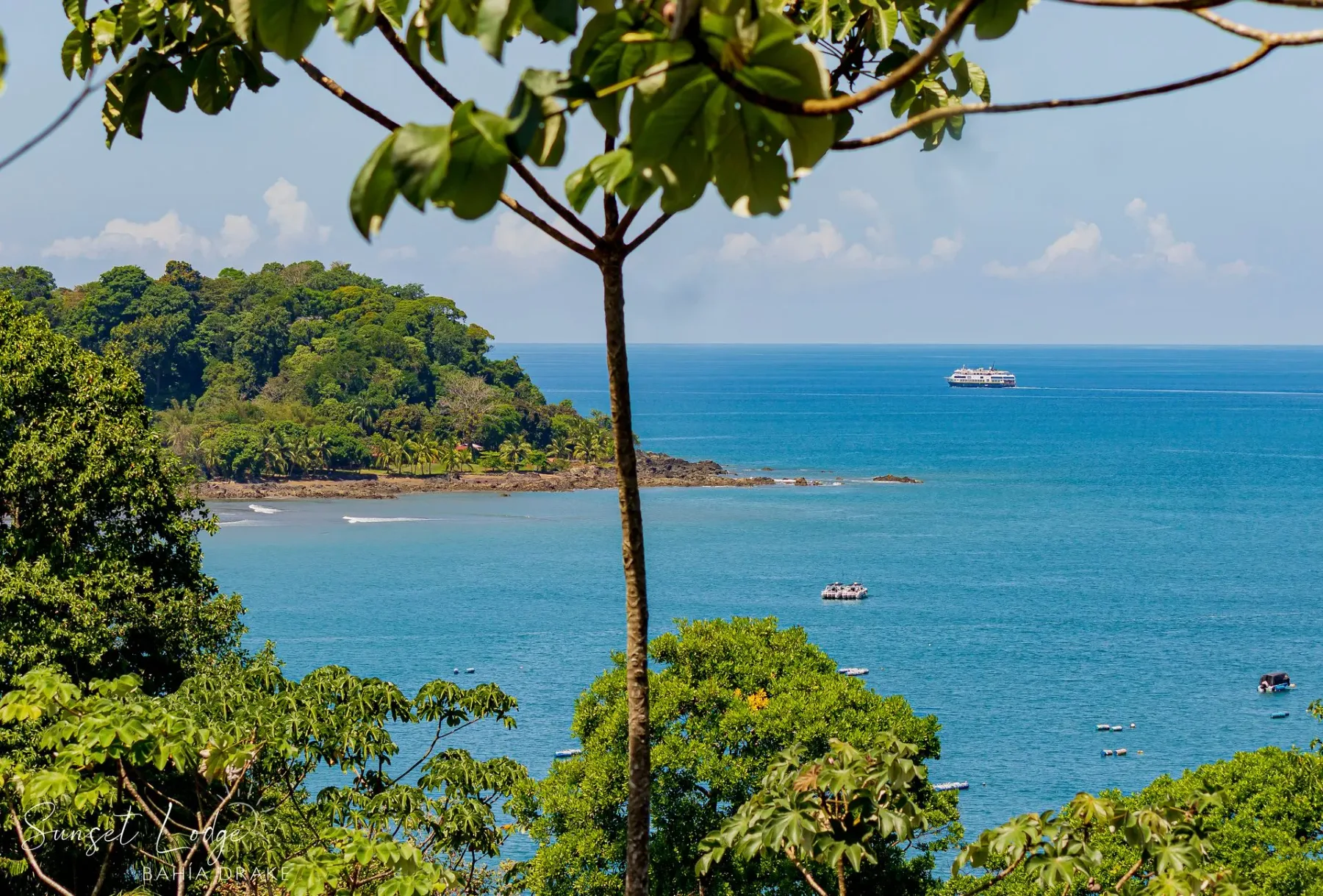 Ocean view with a green island, blue water, boats, and a tree in the foreground.