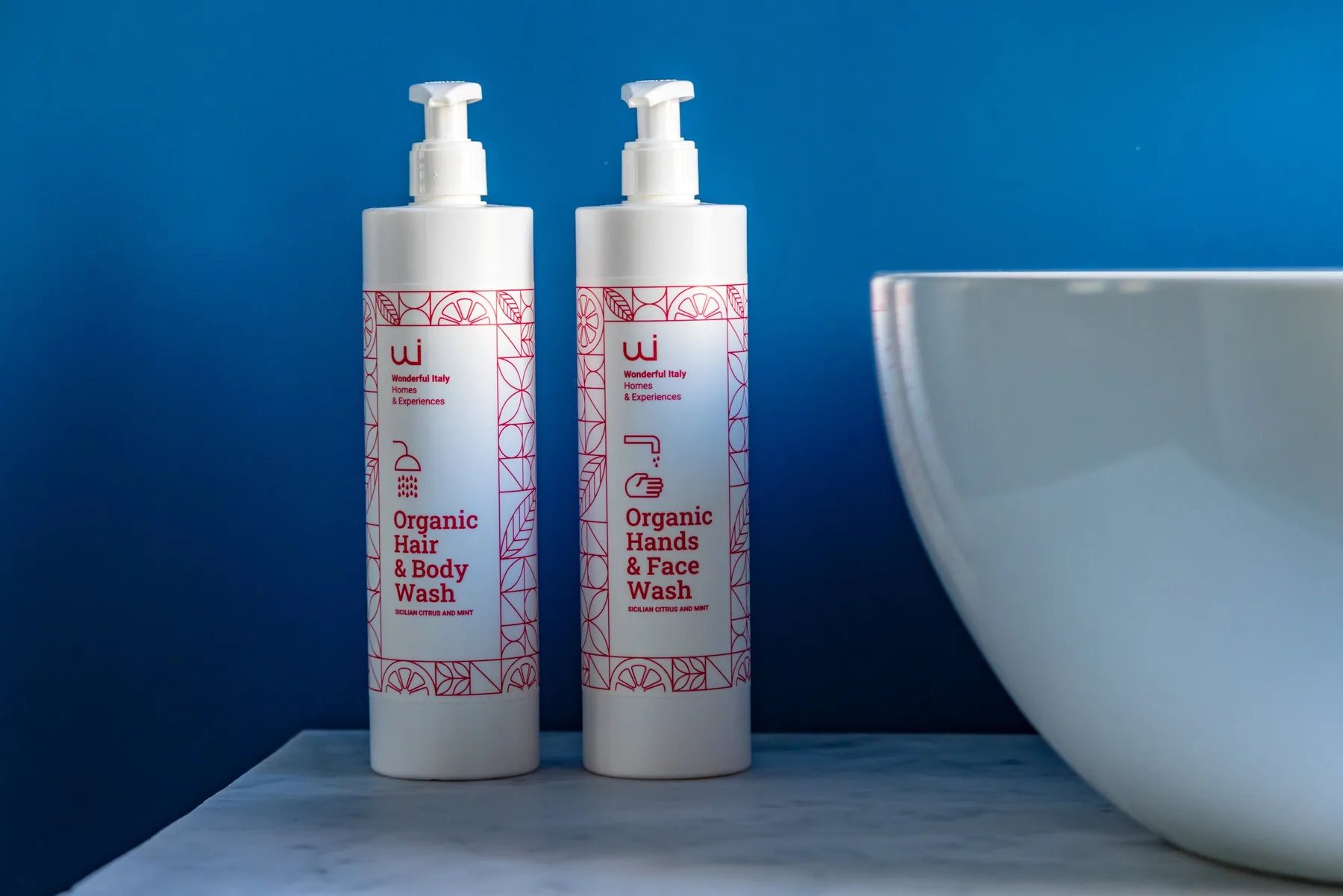 Two pump bottles of wash stand beside a white basin against a blue background.